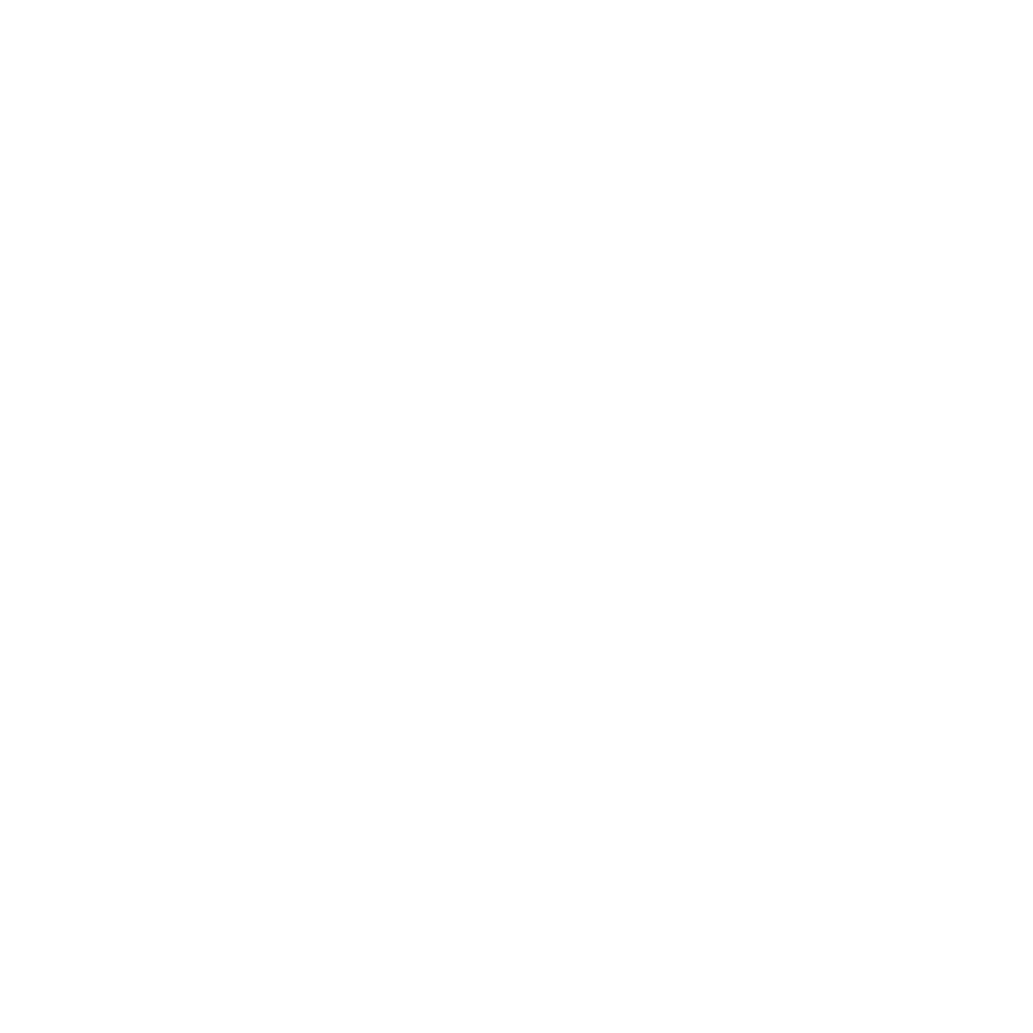 HolyHosting logo